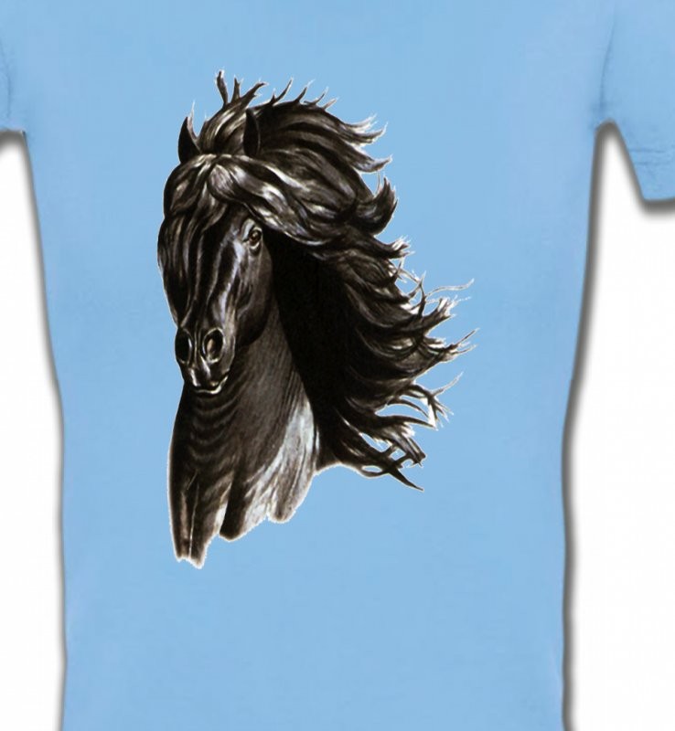 Cheval noir