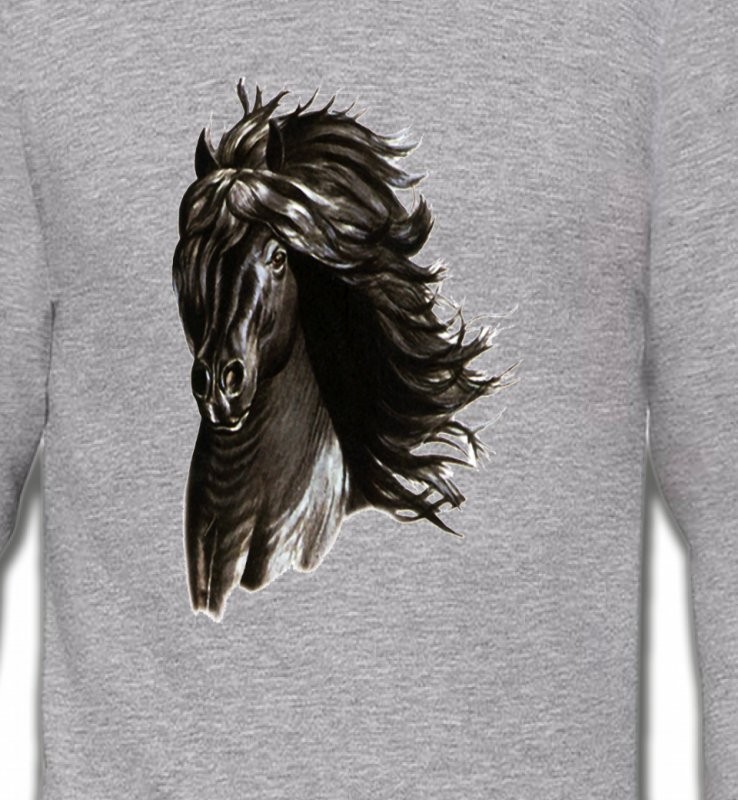 Cheval noir