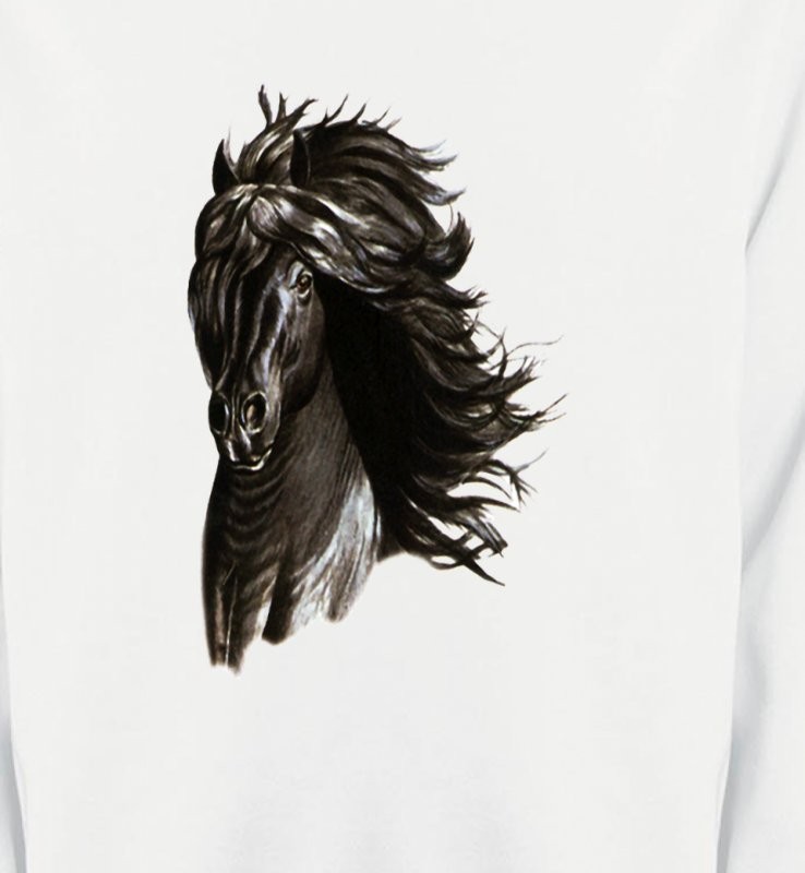 Cheval noir