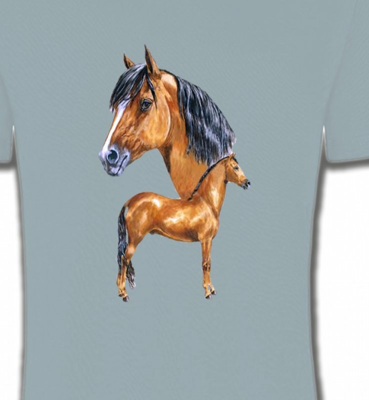 Cheval brun (X)