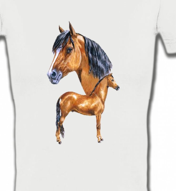 Cheval brun (X)