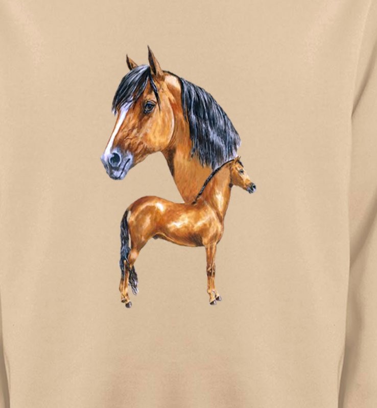 Cheval brun (X)
