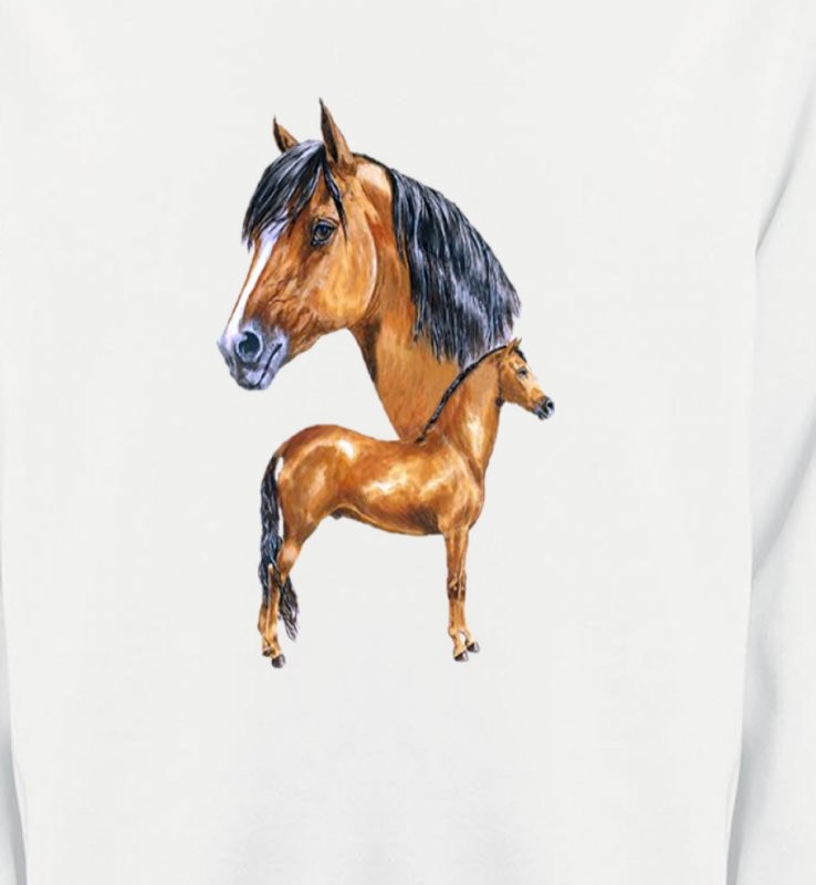 Cheval brun (X)