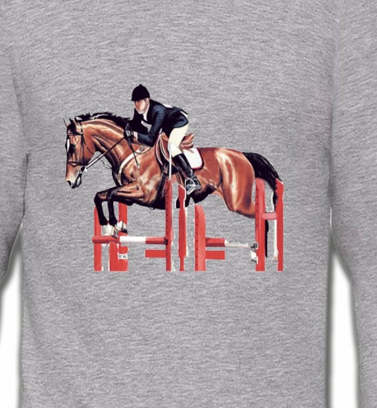 Cheval d'equitation