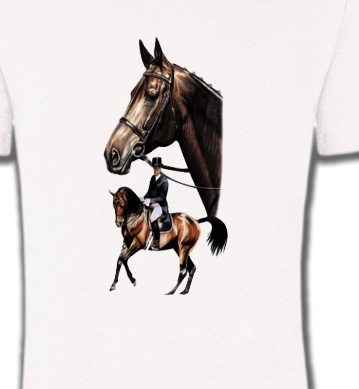 cheval dressage