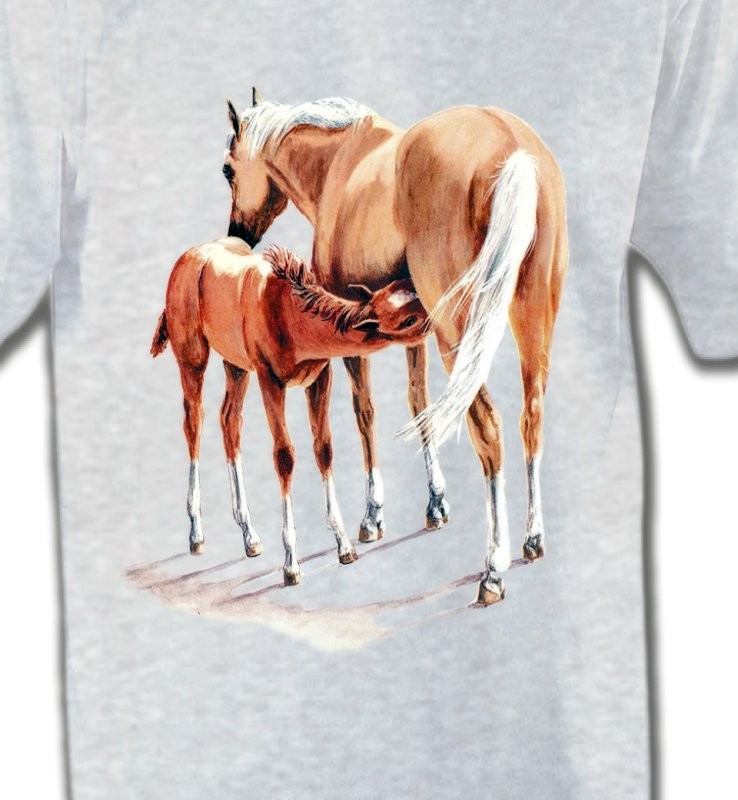 Cheval et poulain
