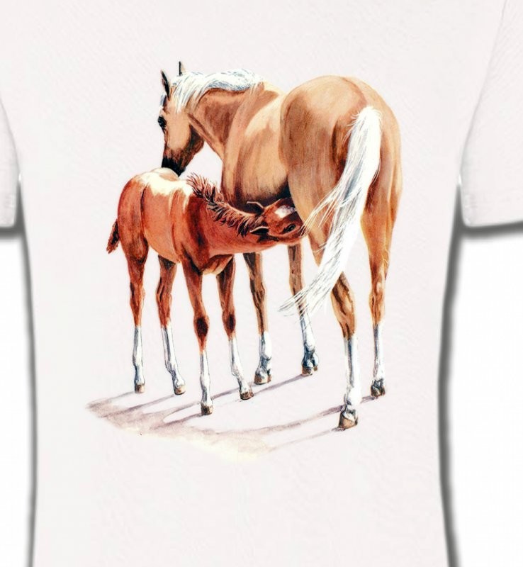 Cheval et poulain