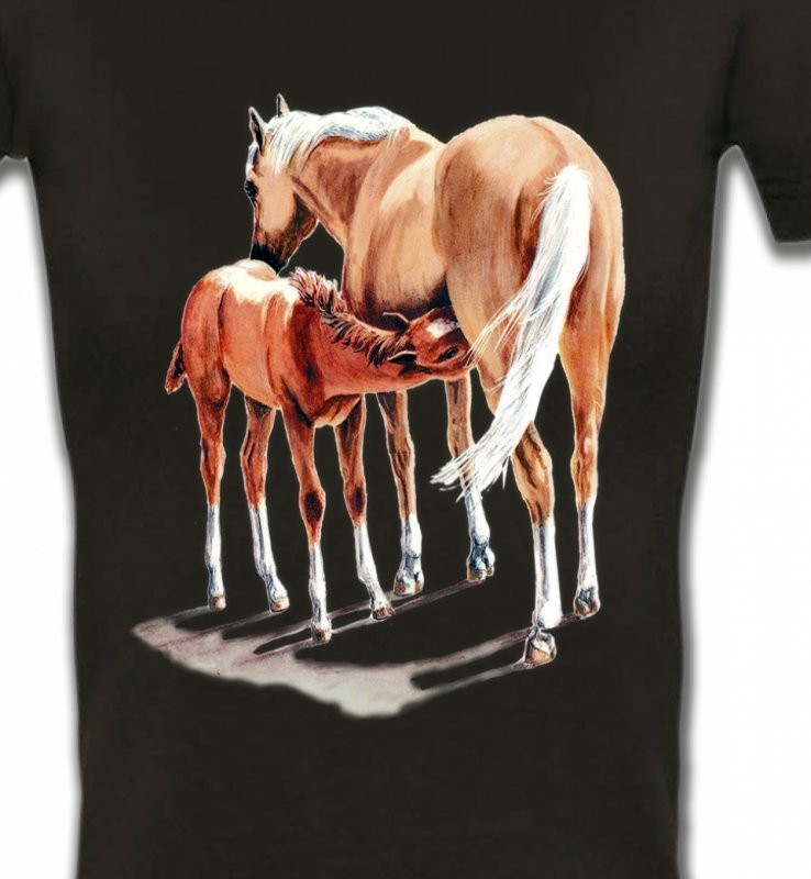 Cheval et poulain