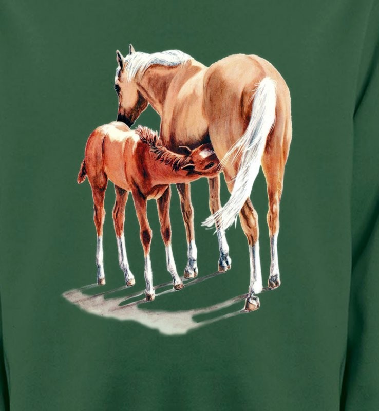 Cheval et poulain