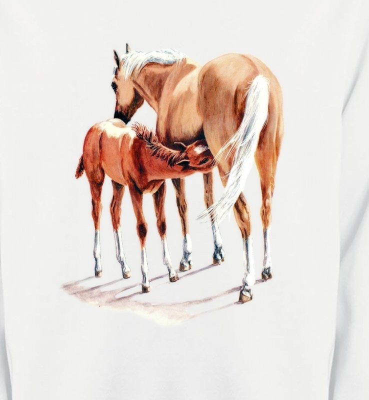 Cheval et poulain