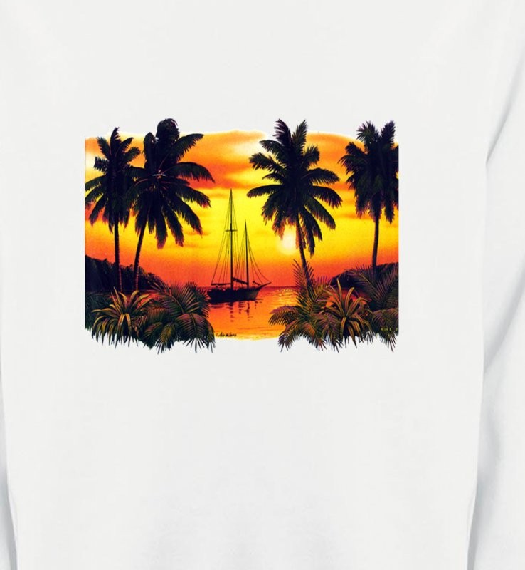 Coucher de soleil sous les palmiers