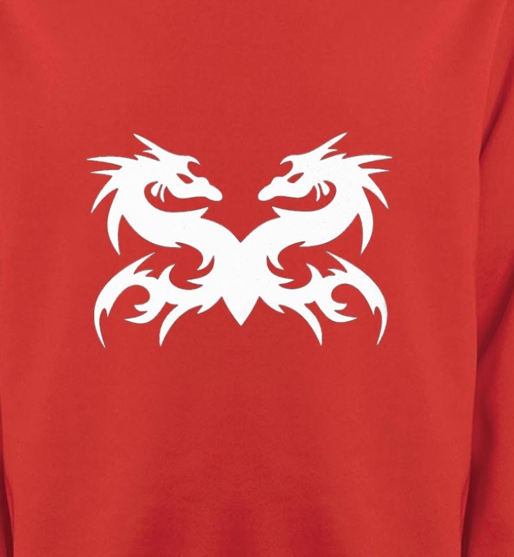 Dragons (W5)