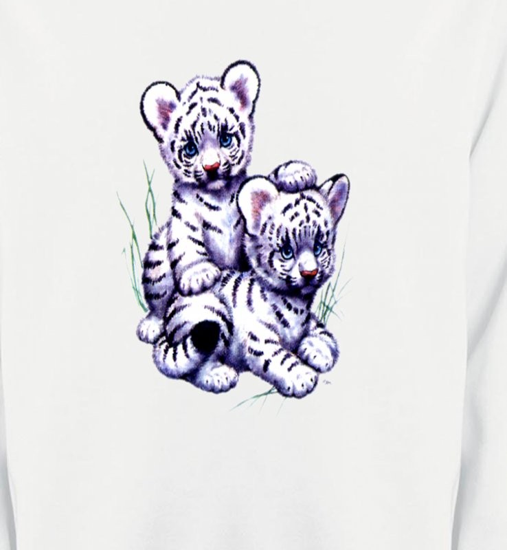 Bébés tigres blancs (I3)