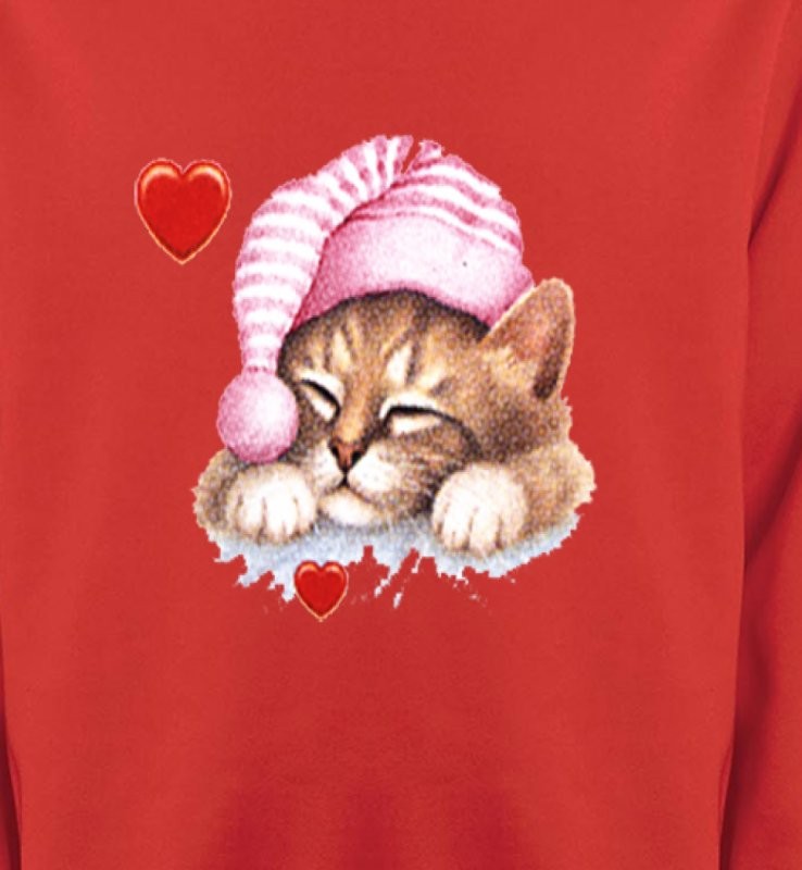 Chaton avec bonnet rose (S2)