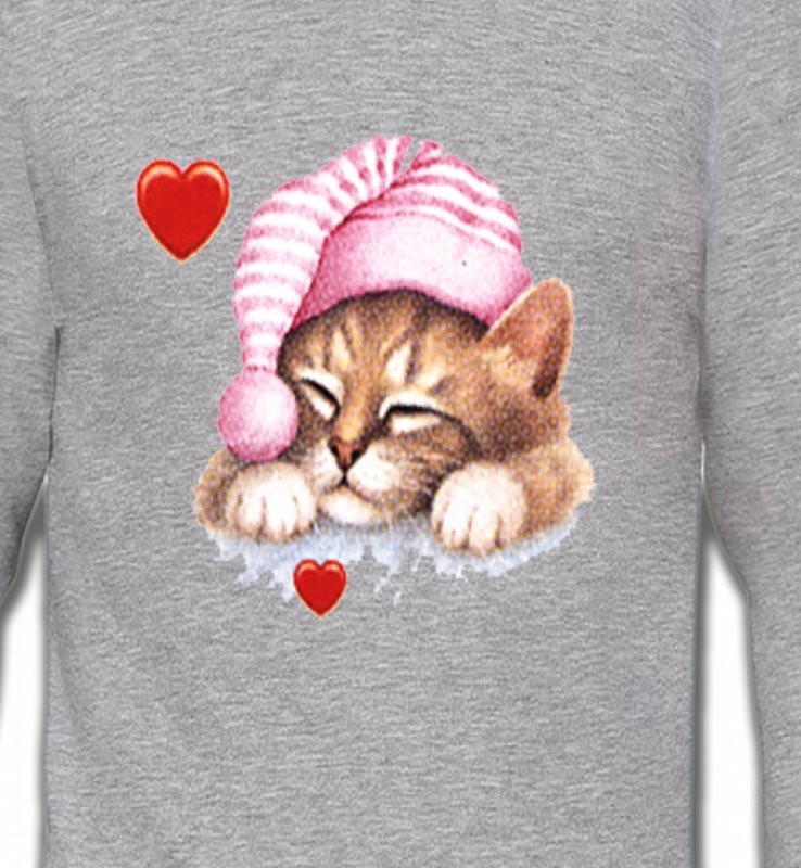 Chaton avec bonnet rose (S2)