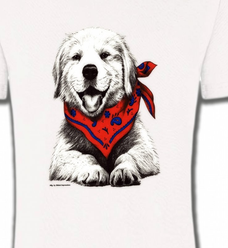Golden Retriever Chiot Blanc (C2G)