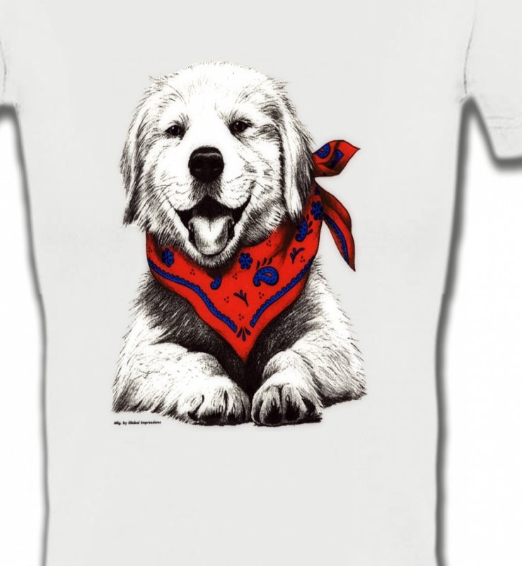 Golden Retriever Chiot Blanc (C2G)