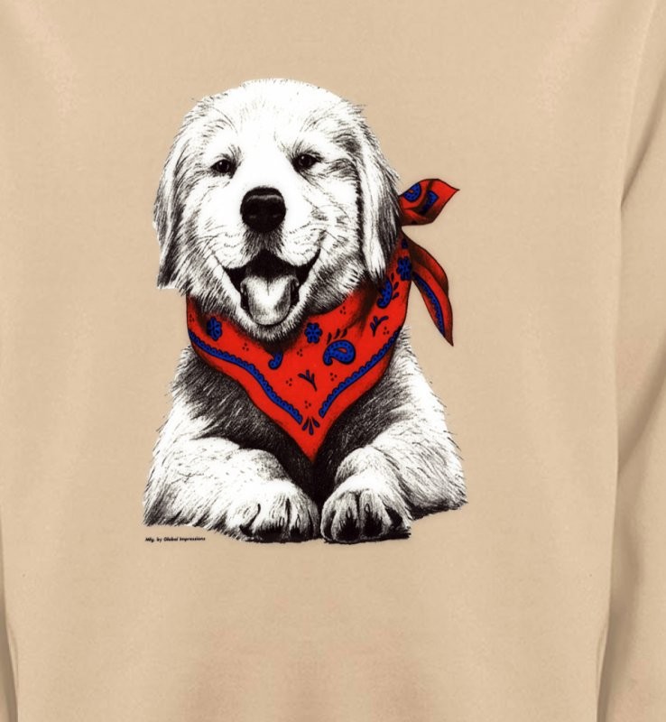 Golden Retriever Chiot Blanc (C2G)