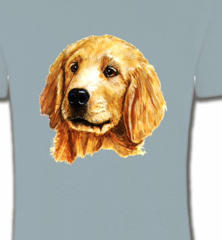 Tête de Golden Retriever (IAG)