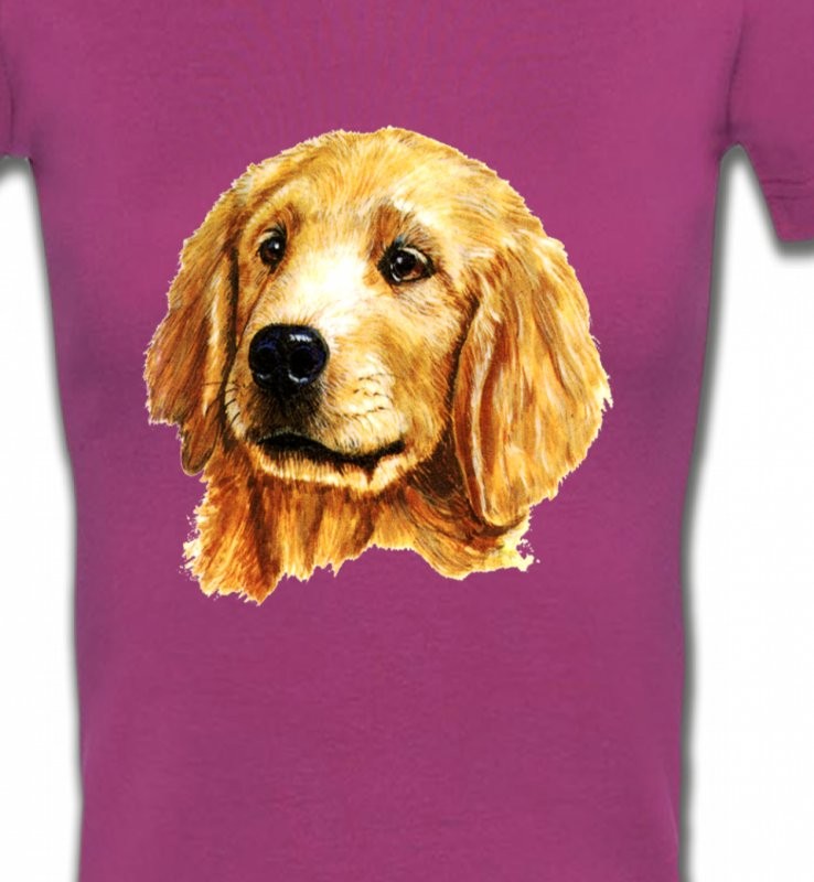 Tête de Golden Retriever (IAG)