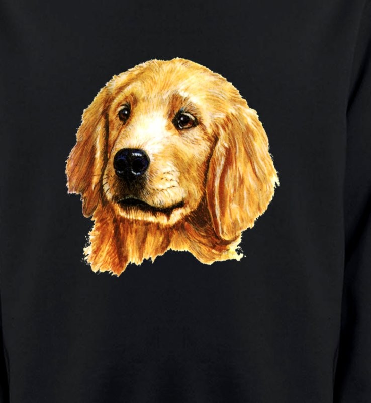 Tête de Golden Retriever (IAG)