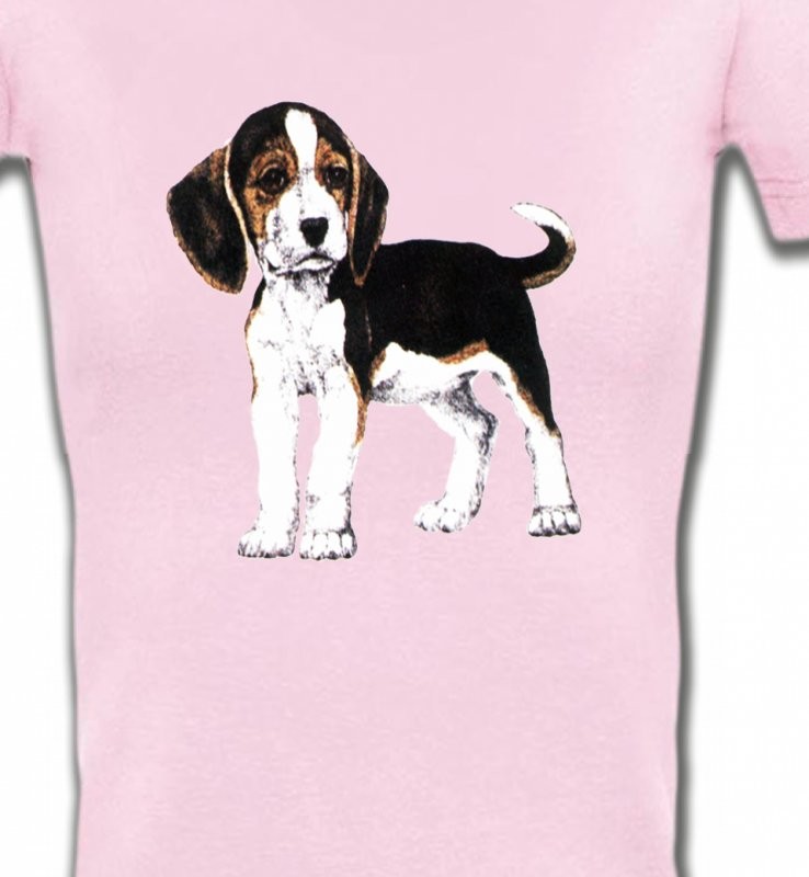 Beagle chiot (B)