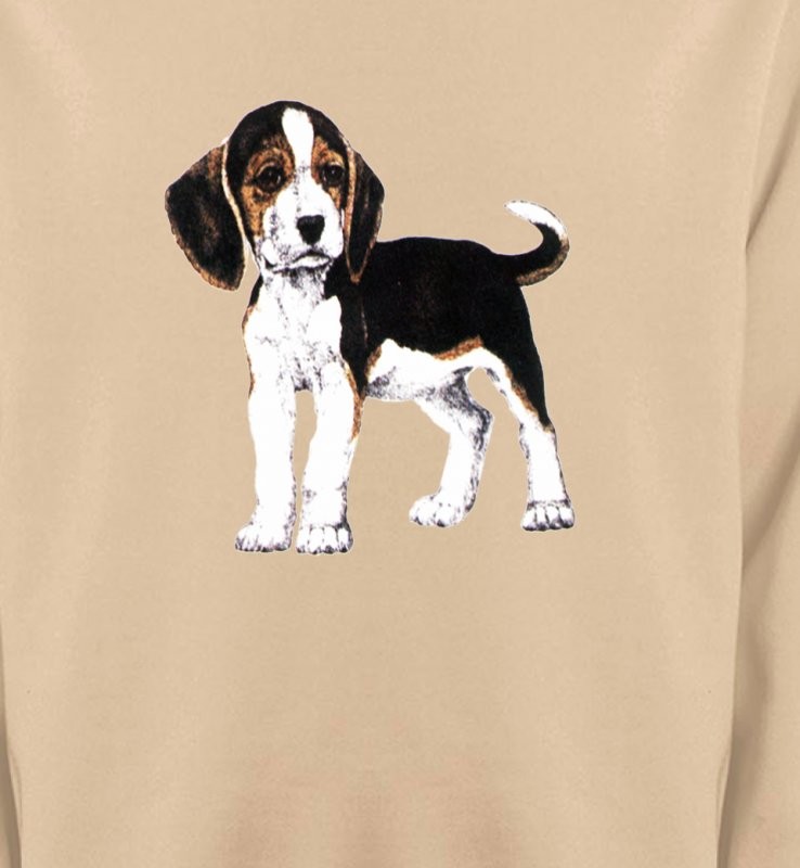 Beagle chiot (B)