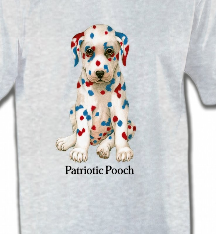 Dalmatien Patriotique  (J)