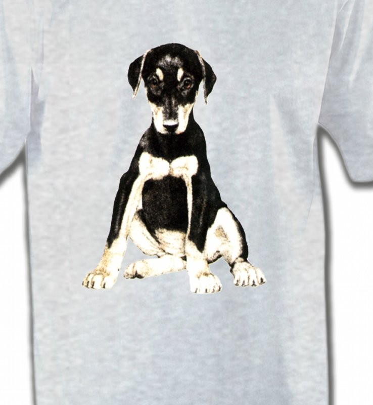 Doberman bébé (E)