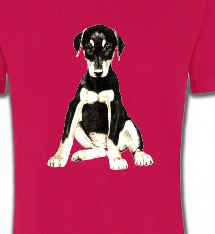 Doberman bébé (E)