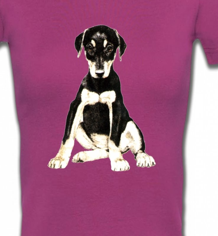 Doberman bébé (E)