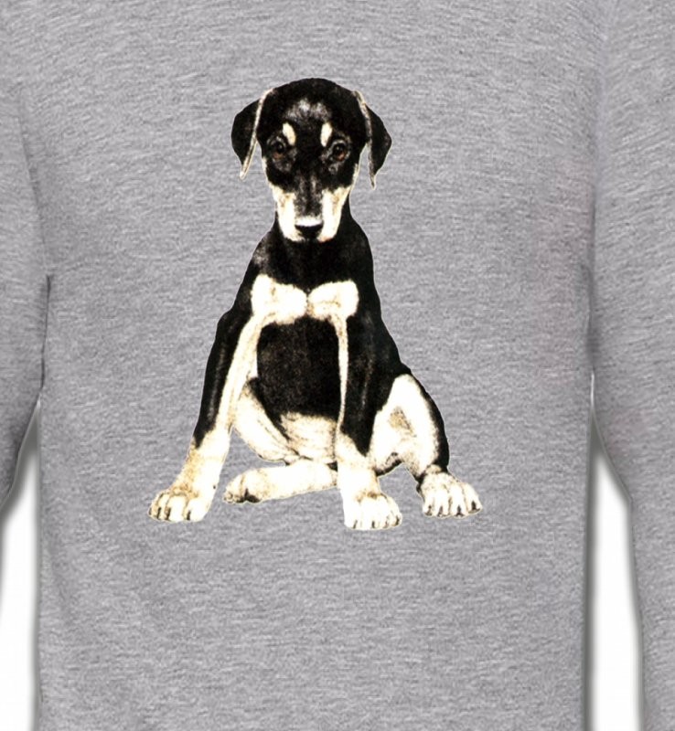 Doberman bébé (E)
