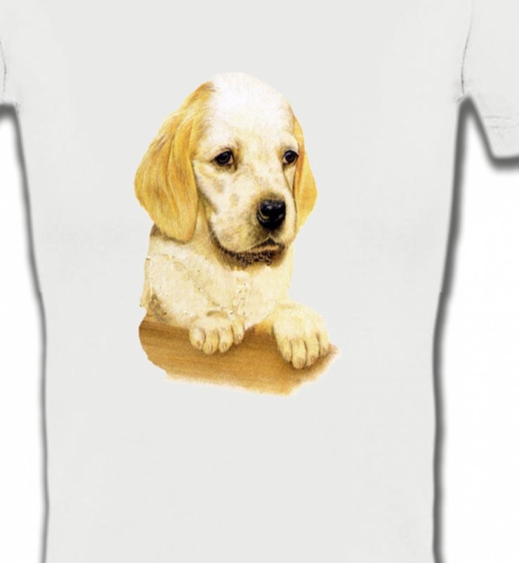 Cocker bébé beige(Yb)