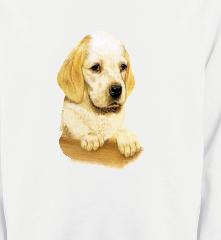 Cocker bébé beige(Yb)