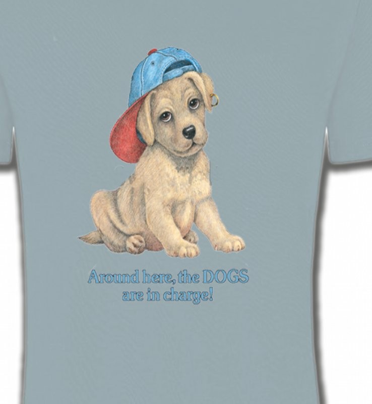 Chiot avec une casquette (F3)