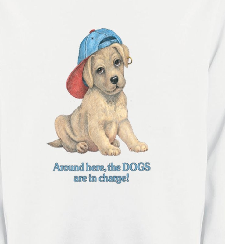 Chiot avec une casquette (F3)