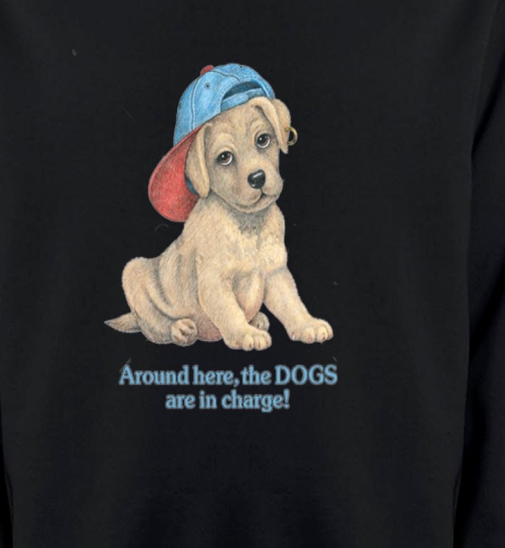 Chiot avec une casquette (F3)