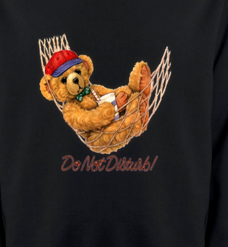 Teddy Bear dans hamac (H)