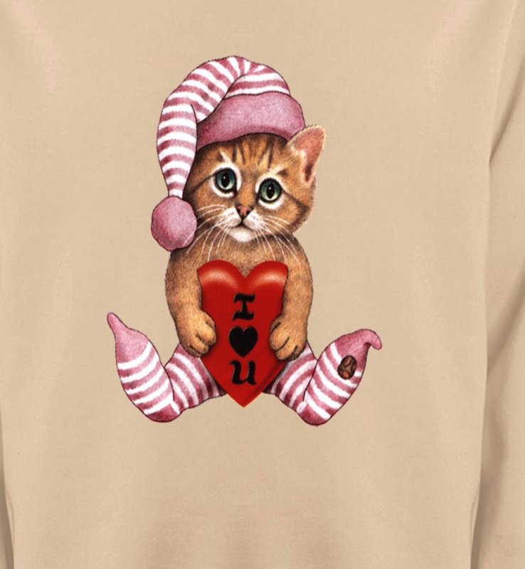 Chaton en pyjama  (L3)