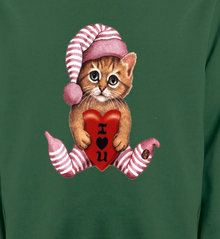 Chaton en pyjama  (L3)