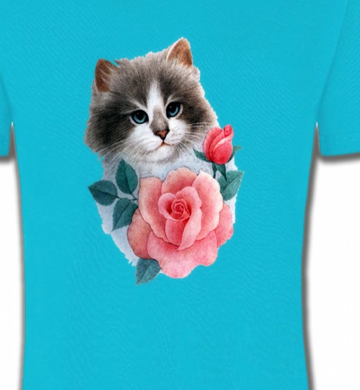 Chat Ragdoll et rose