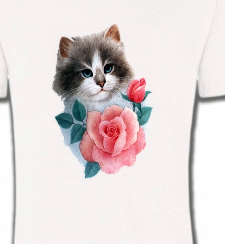 Chat Ragdoll et rose