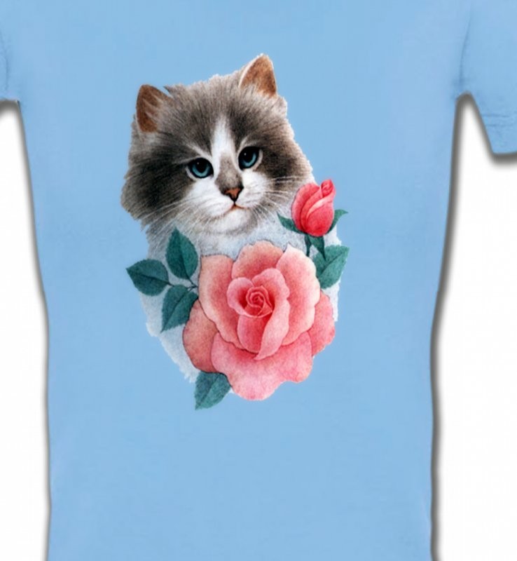 Chat Ragdoll et rose
