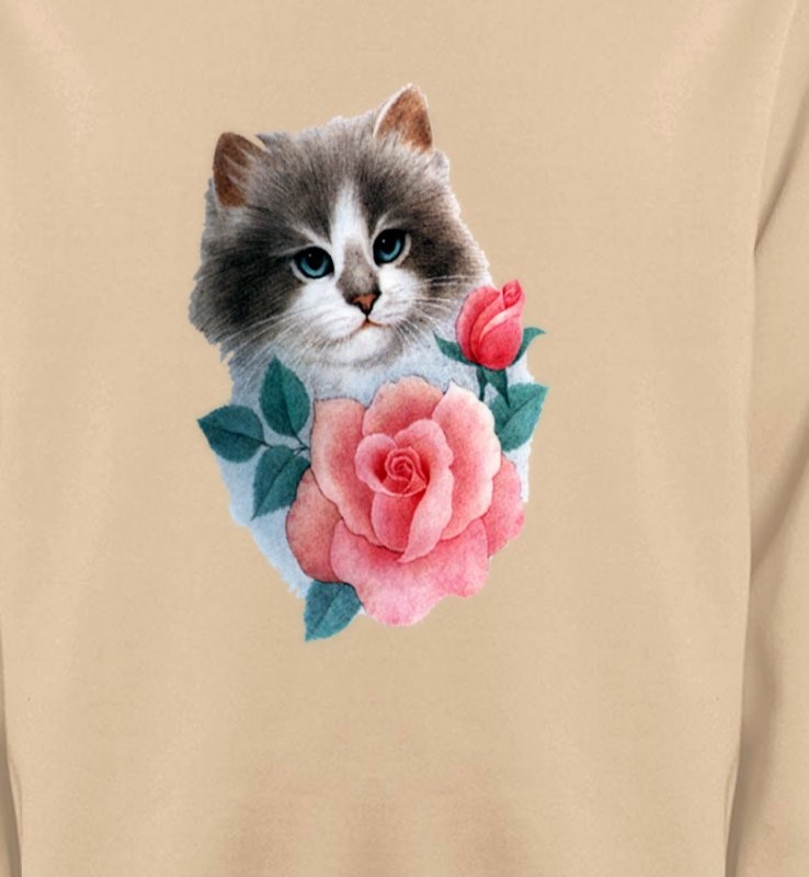 Chat Ragdoll et rose