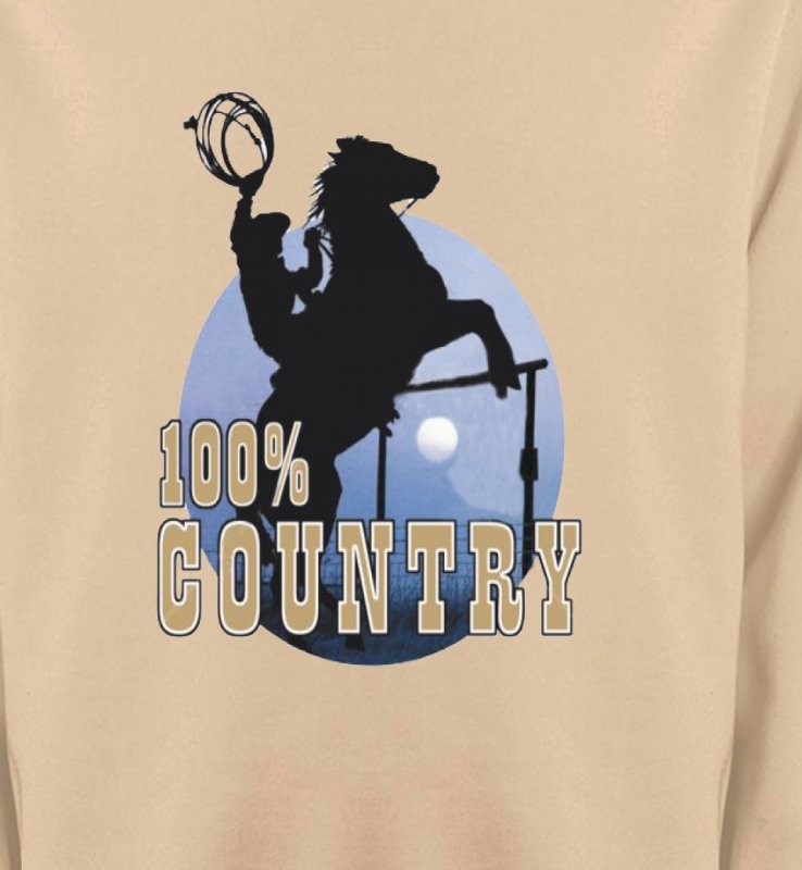 western country chevaux cowboy