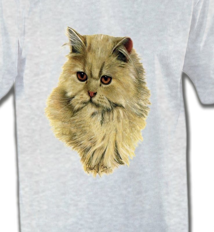 Chat Persan sable (R)