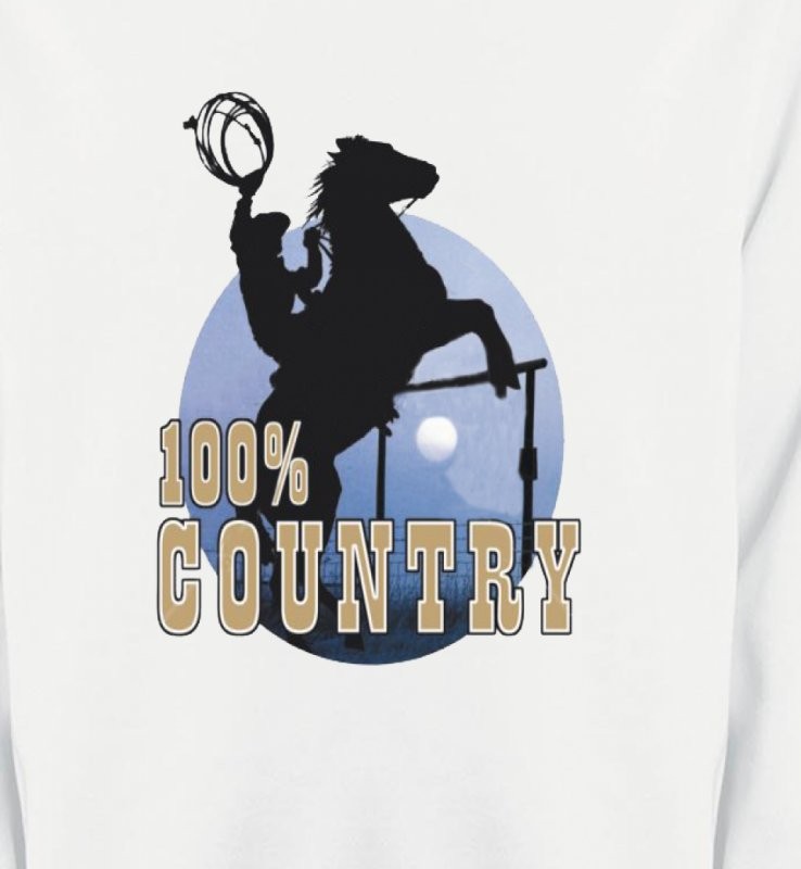 western country chevaux cowboy