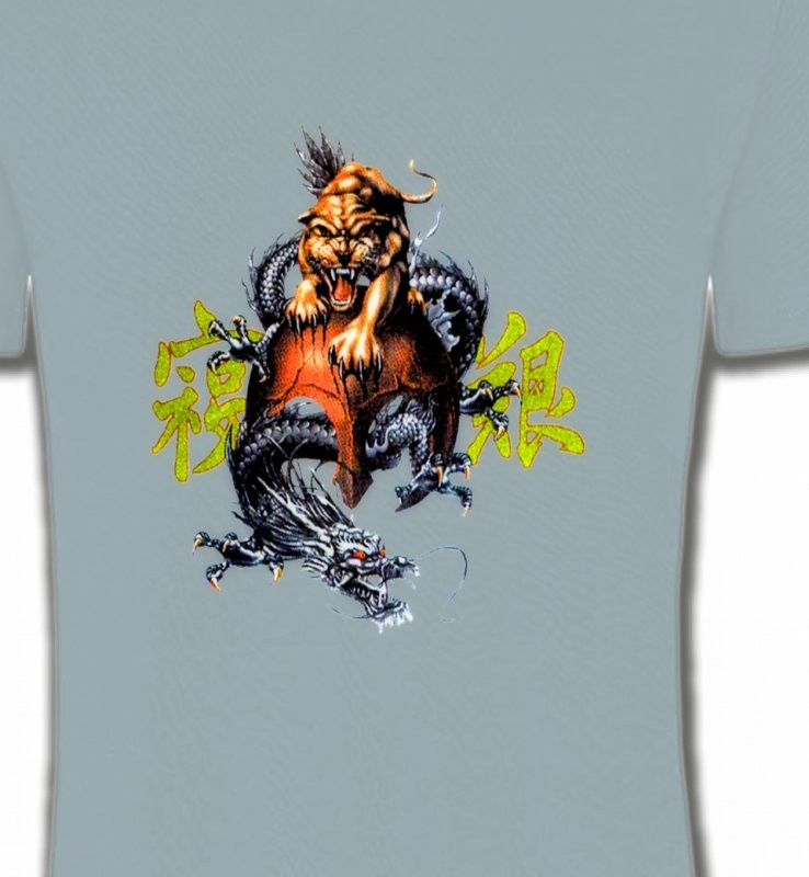 Dragon et Lion chinois (T3)