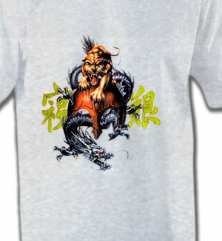 Dragon et Lion chinois (T3)