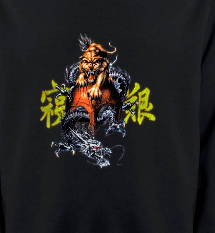 Dragon et Lion chinois (T3)